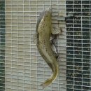 제주궁전 이미지