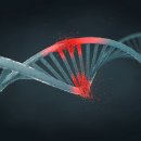 CW-1050-01 이미지