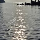 해양경찰서 앞 | 울릉도 노을맛집 스노클링 추천 스팟(해양연구기지, 천부항) + 울릉도 구명조끼 무료 대여 장소