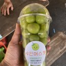 서준농장 이미지