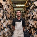 엔에스케이(NSK) 이미지