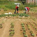 협동농장 이미지