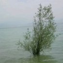 양생한의원 이미지