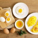 삶은구운 계란 단백질 함량과 이미지