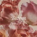 미고 테라피 이미지