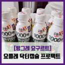 [빙그레 요구르트] 요플레 닥터캡슐 프로텍트 사과...프로바이오틱스 유산균 요구르트 솔직 리뷰 후기