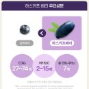 주영농장 | 유기농 하스카프 베리 분말, 진짜 효과 있을까? 직접 먹어본 솔직 후기