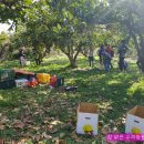 호왕농장 이미지