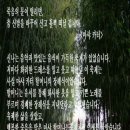 마샤 - 북구 | 마샤