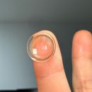 1001안경콘택트(은평구청점) | 콘택트렌즈 주문은 렌즈링크로! 클라렌 아이리스 컬러뮤즈 브라운 착용샷까지