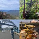 (주)씨푸드락 이미지