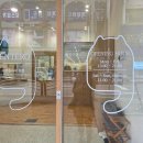 캣플코지눅 시화점 이미지