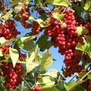 가현농장 이미지