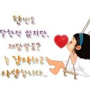 파요 이미지