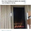 위드미트