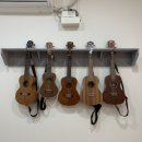 아마빌레음악학원 - 양주시 옥정동로7길 103 | 아마빌레음악학원