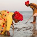 섬레스토랑 이미지