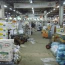 강일청과 이미지