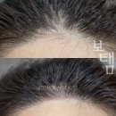 더보탬 네이버블로그