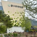 대구 가족나들이 필수코스, 국립대구과학관 꿈나무과학관 후기