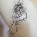 디알(DR)헤어살롱 | 디알 포티파이 샴푸 탈모완화 민감성두피 샴푸 사용 후기