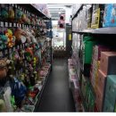 야옹아 멍멍해봐 대흥점 이미지