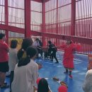 영월 Y파크(술샘박물관) 이미지