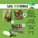 효성해링턴 어린이집 티스토리