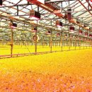 에이치엘비파워(주) 이미지