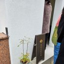 가평숯불막국수