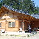 봄볕내리는날 이미지