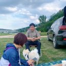 세천강변 이미지