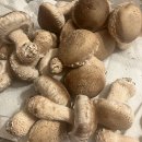 홍천농장 이미지