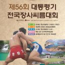 문경 씨름장 이미지