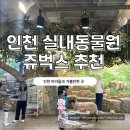 교감 | 아이들과 가볼 만한 곳 인천실내동물원 추천 쥬벅스 동물교감 체험 후기