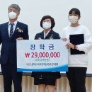 아산초 이미지