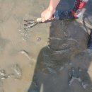 애향목장 | 고창 만돌갯벌체험학습장, 상하목장 여행 후기