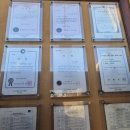 1인한식당 서구점 | 일산 맛집 추천, 애견동반 가능 한식당 "마니산산채 일산점" 후기