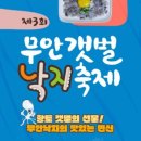 갯벌낙지 이미지