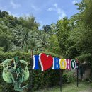 고우농장 | [필리핀/보홀]보홀로컬프라이스 육상투어 + 반딧불 단독투어 후기 :: 한국어 가능한 가이드