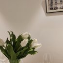 까사밀락 이미지