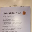 꽃구경 절구경 이미지