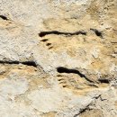 U.S town Fitness 이미지