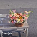 포레스트문 이미지