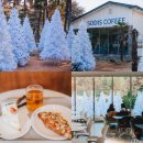 소디스커피 | 12월 경주 여행 크리스마스 트리 감성 카페 소디스커피