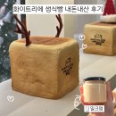 양지세탁소 | 전주 식빵 맛집 화이트리에 밀크잼 후기