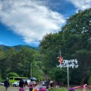 월산면 용구산 들꽃축제 | 담양 제1회 월산면 용구산 들꽃축제를 다녀오다...