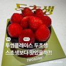투썸마켓 | 두쫀쿠 먹어본 자의 투썸 두초생 후기