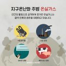 센트럴키즈교육 이미지