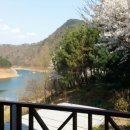 녹수와 청산의 집 이미지